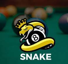 Snake 8 Ball Pool